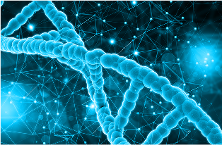 SMST 2025 Admissions: The admissions process for the School of